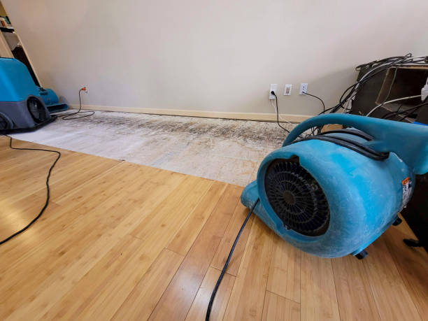 Professional Water Extraction technician working in Bloomington, IL